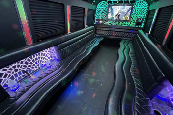 Eagan Limo Bus Interior
