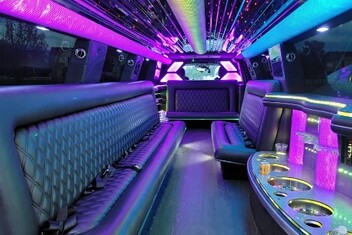 Eagan Limo Interior